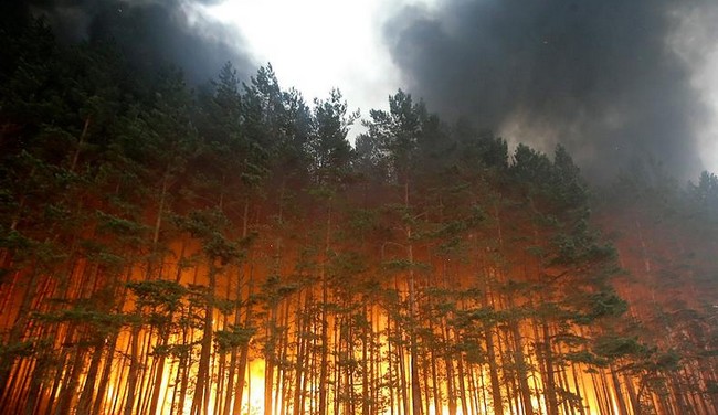 лесные пожары Луганщина
