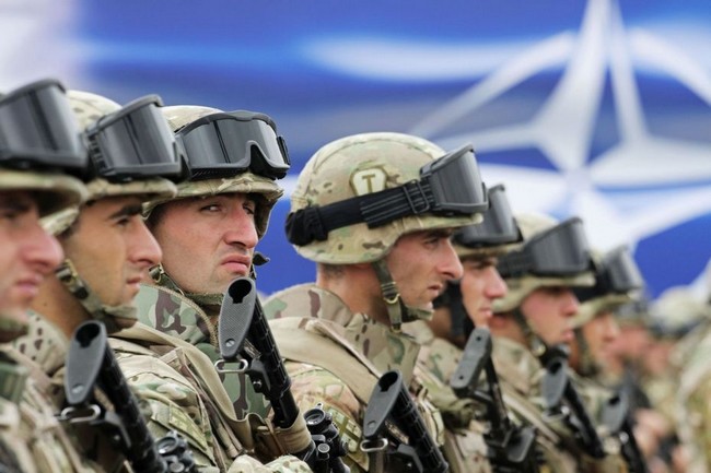 военные НАТО на Украине